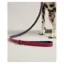 Joules Leather Dog Lead in Pink