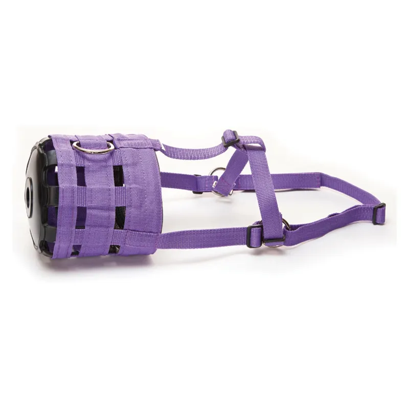 Hy Muzzle in Purple