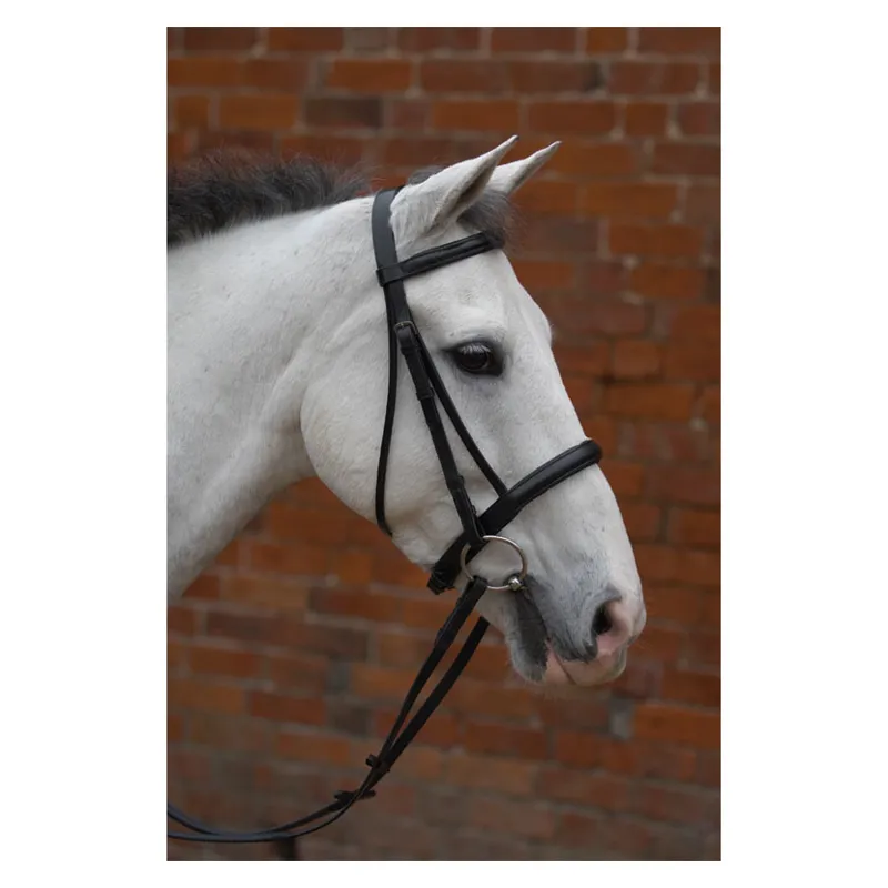 Hy Padded Cavesson Bridle With Rubber Grip Reins in Black