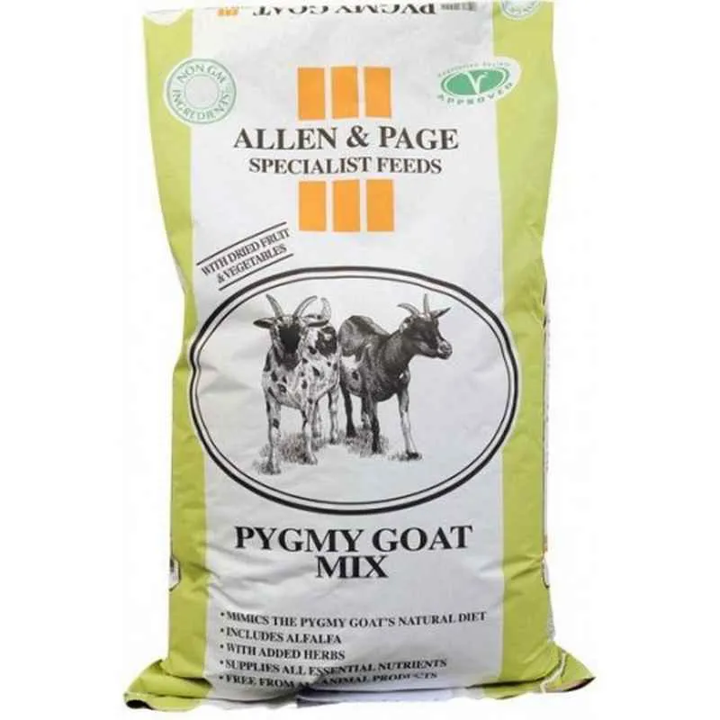 Allen and Page Pygmy Goat Mix