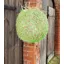 Premier Equine Hay/Haylage Net in Lime Green