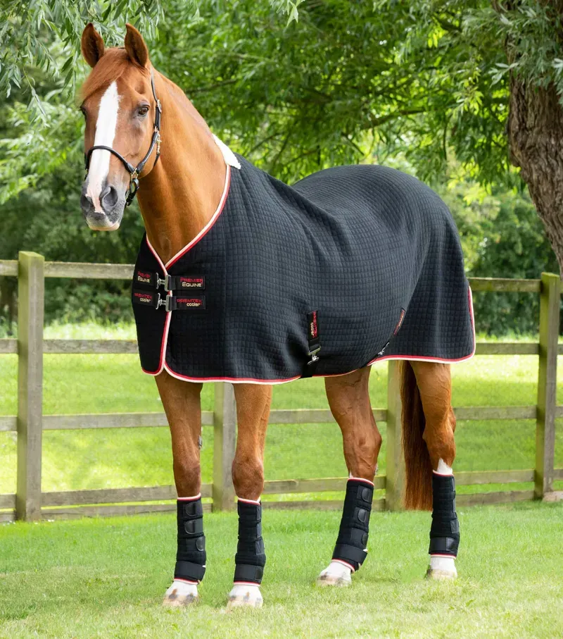 PremTex Horse Cooler Rug / Black