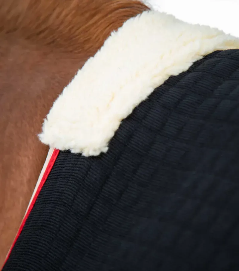 PremTex Horse Cooler Rug / Black-4