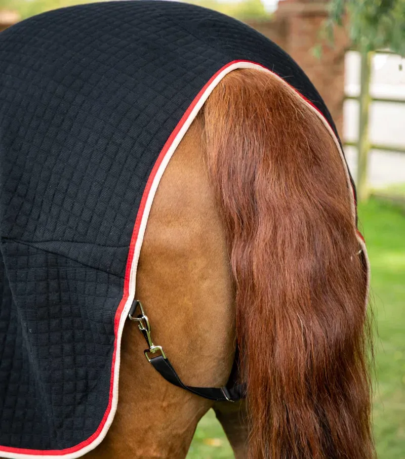 PremTex Horse Cooler Rug / Black-3