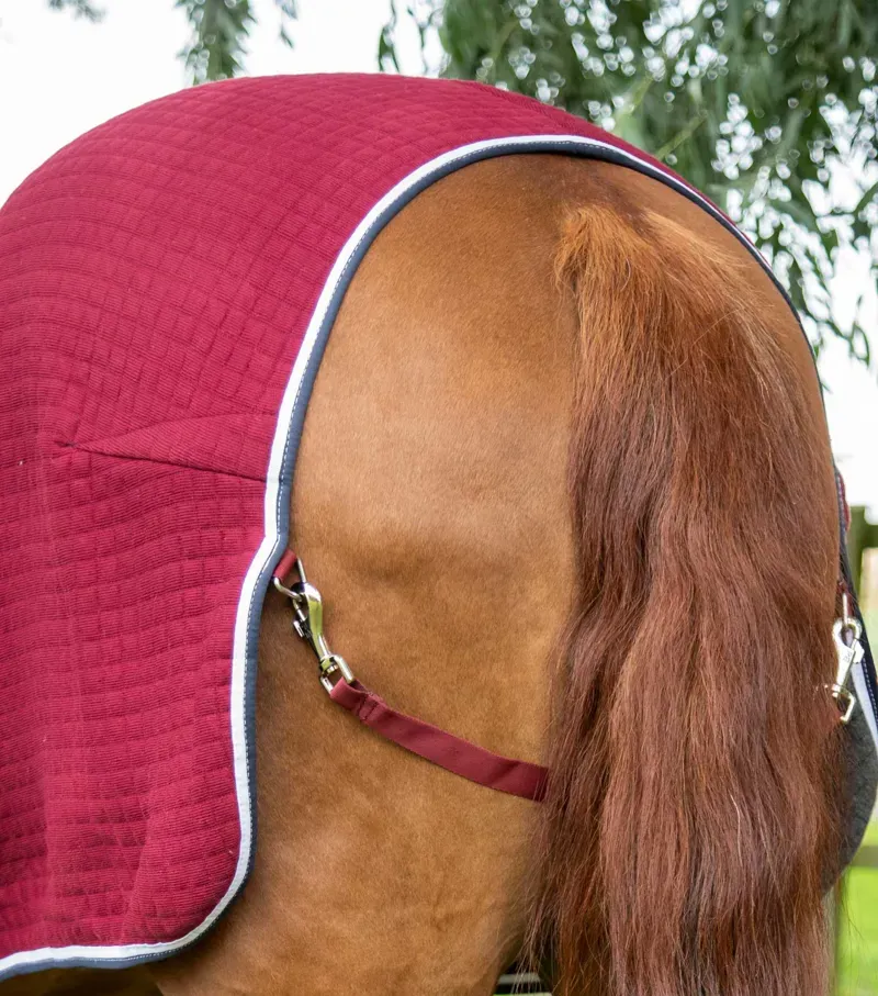 Premier Equine PremTex Horse Cooler Rug in Burgundy-4