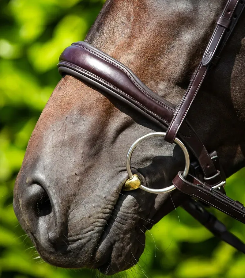Premier Equine Verdura Anatomic Snaffle Bridle in Brown-1