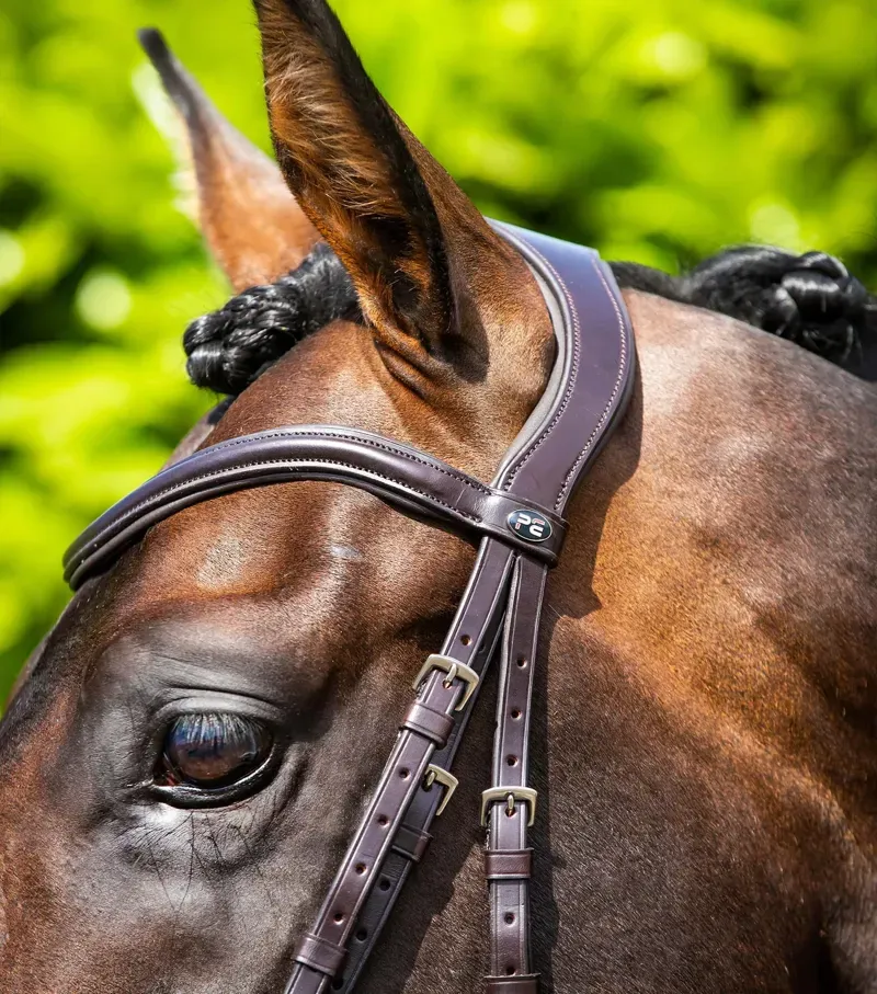 Premier Equine Verdura Anatomic Snaffle Bridle in Brown-2