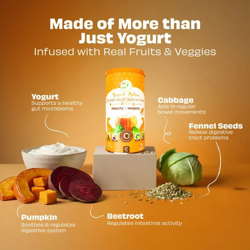 Pawfect Yogurt Melties with Pumpkin-2