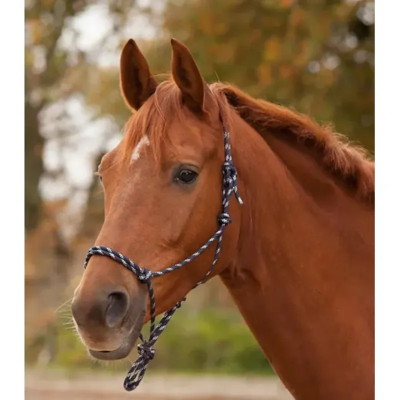 Knotted Halter Pony Night blue/silver
