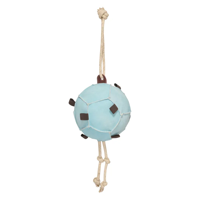 Horse ball volley - Powder Blue