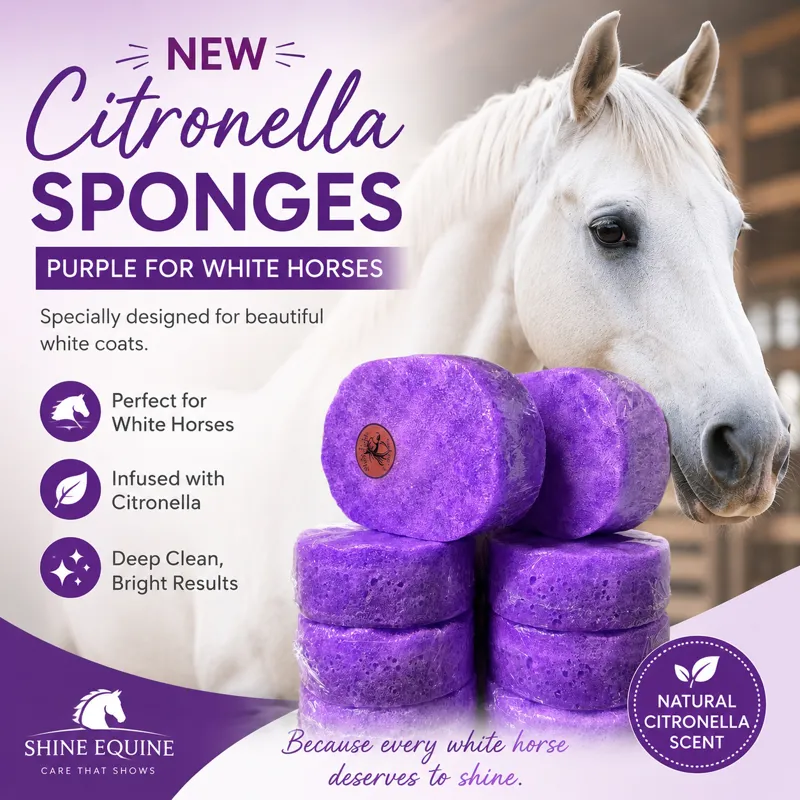 The Purple Citronella Sponge-2