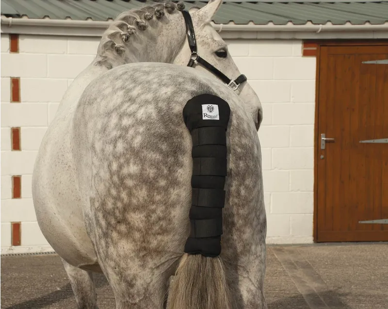 Rhinegold Cotton Tailguard - Black