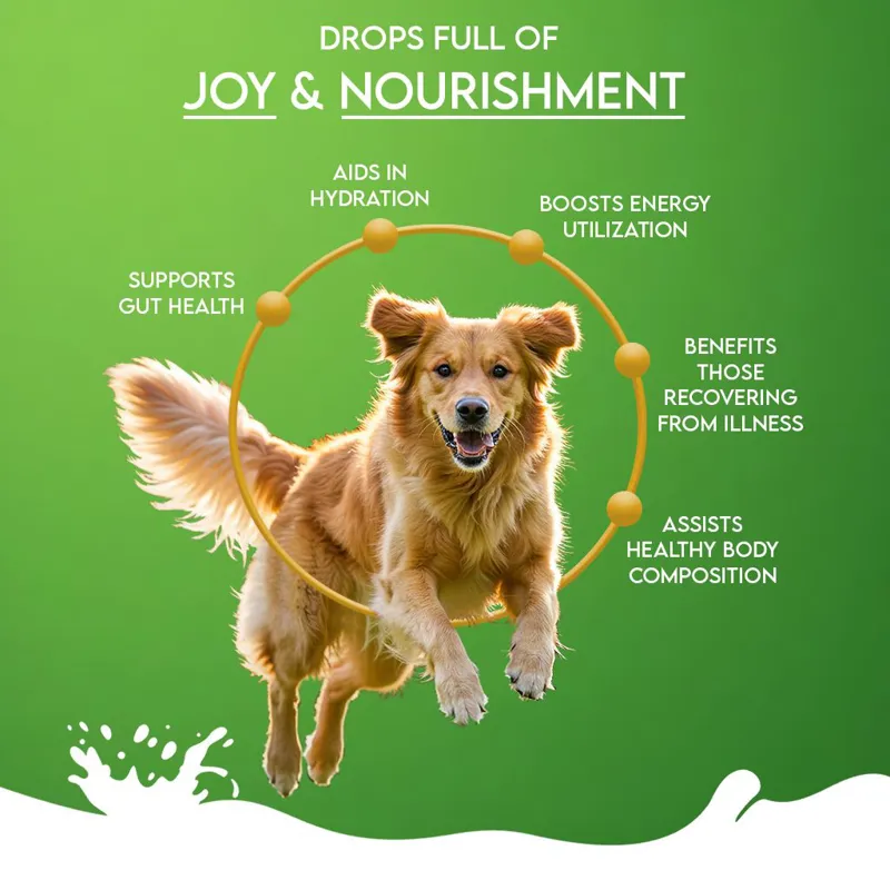 Pawfect Goat Milk Booster 120g-2