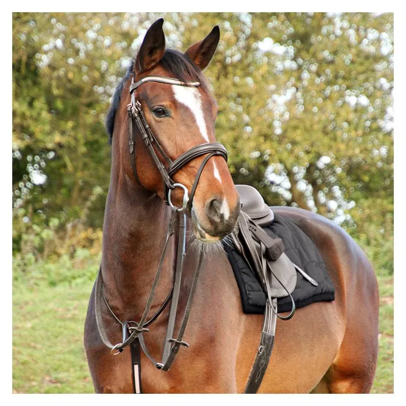 Hy Equestrian Rosciano Rose Gold Brow Band - - Black/Rose Gold