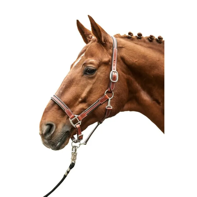 HKM Soft Leather Headcollar Brown - Cob