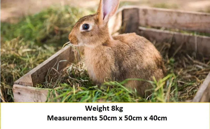 Meadow Hay Box 8kg-4