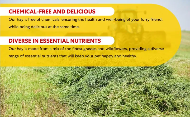 Meadow Hay Box 8kg-5