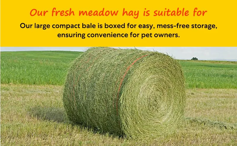Meadow Hay Box 8kg-7