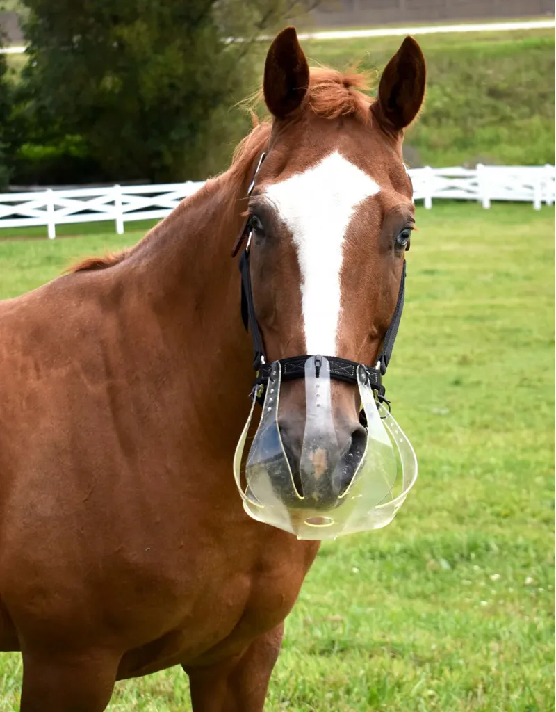 Thinline Flexible Filly Grazing Muzzle  - large 3.5cm