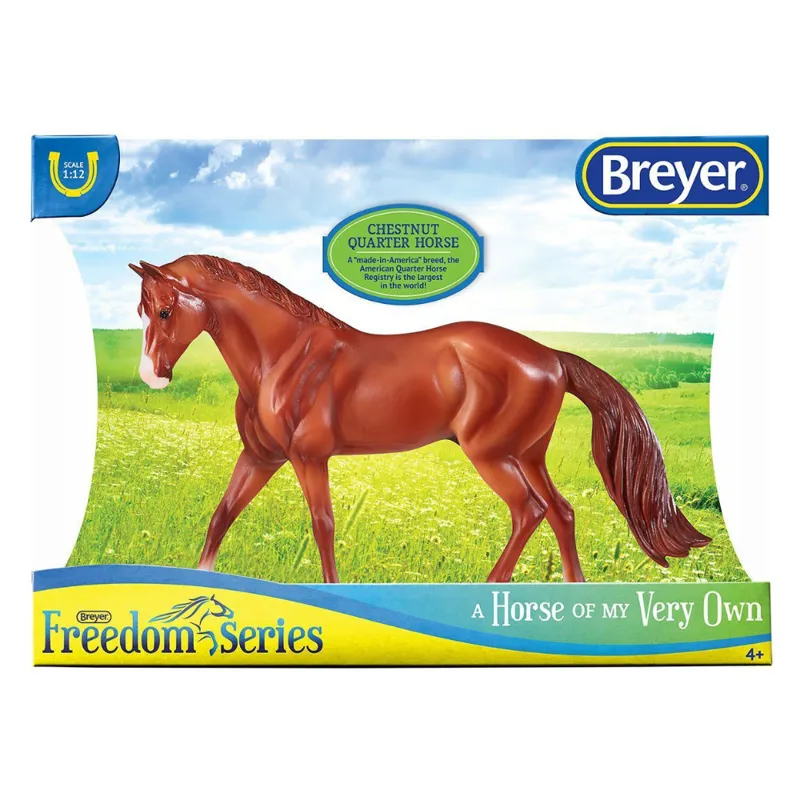 Chestnut Quarter Horse-5