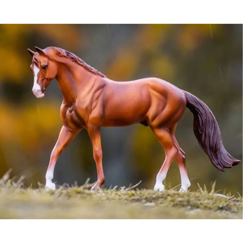 Chestnut Quarter Horse-4