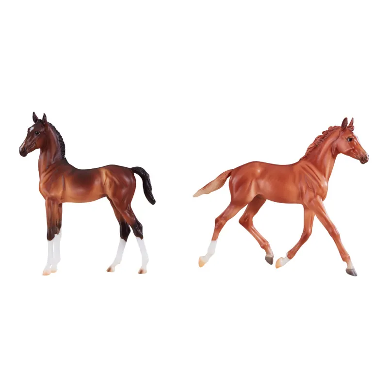Irish Thoroughbred and Hackney Horse