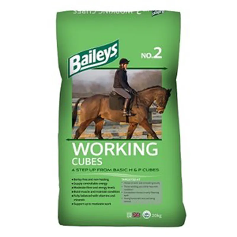 Baileys No. 02 Working Cubes