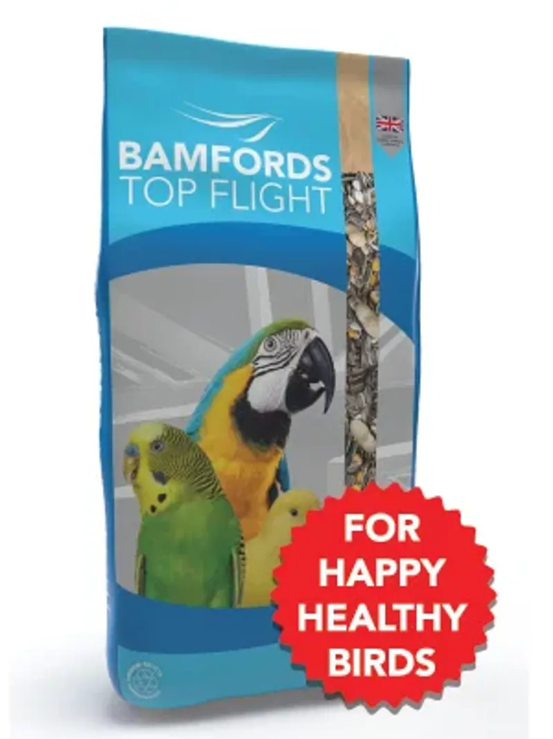 Budgie 50/50-1