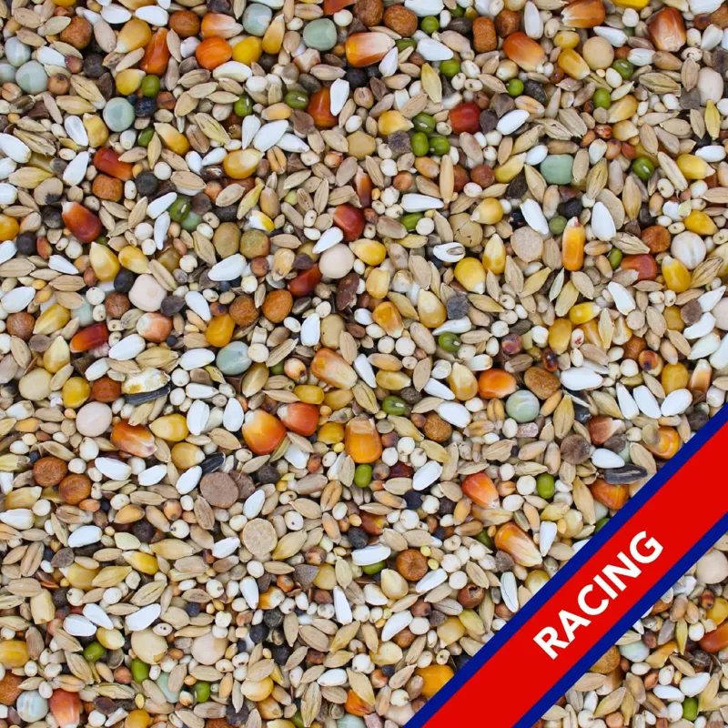 Bamfords Centenary youngster 20kg