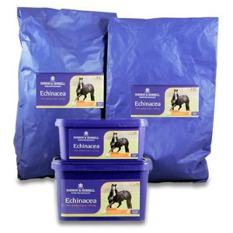 Dodson and Horrell Echinacea