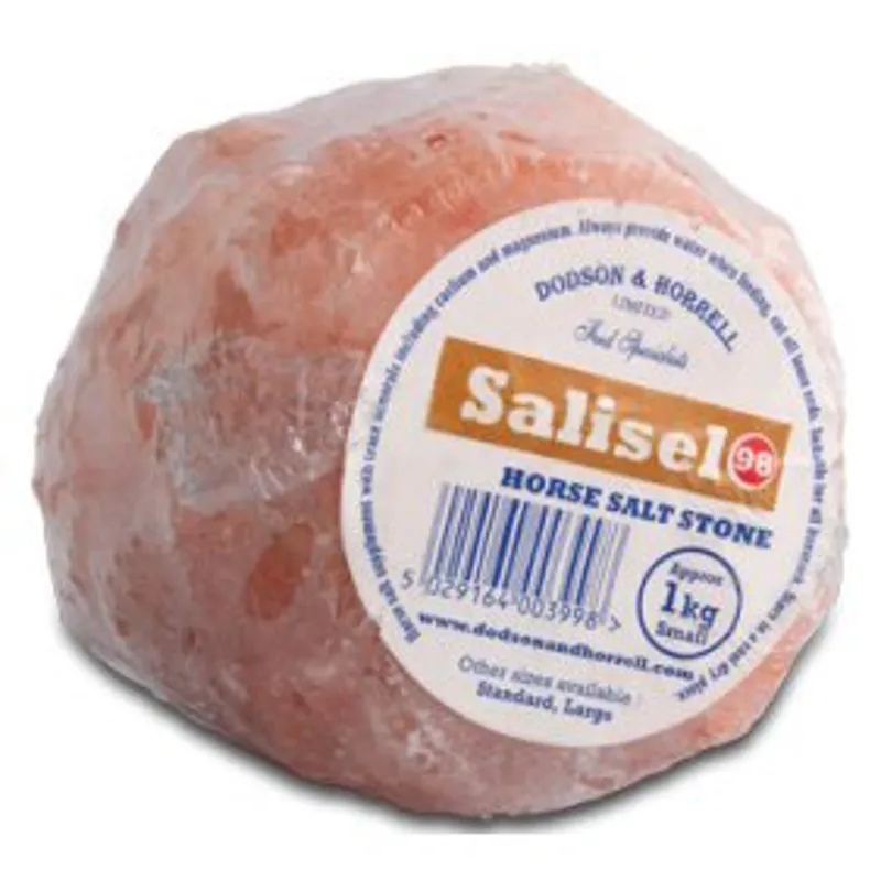 Dodson and Horrell Salisel 98 Salt Stone 4x5kg