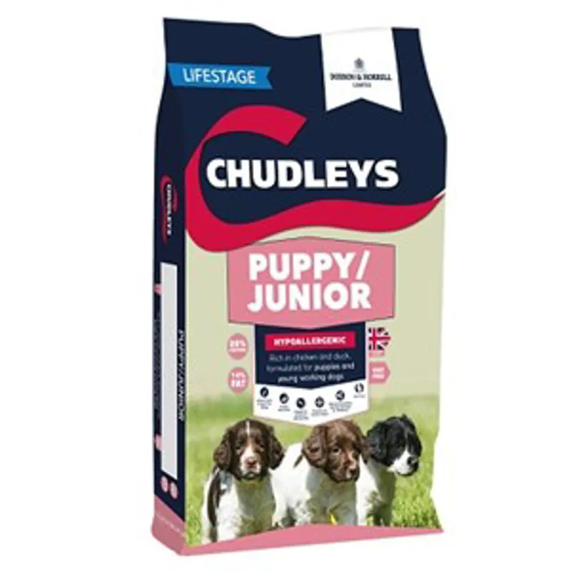 Chudleys Puppy/Junior