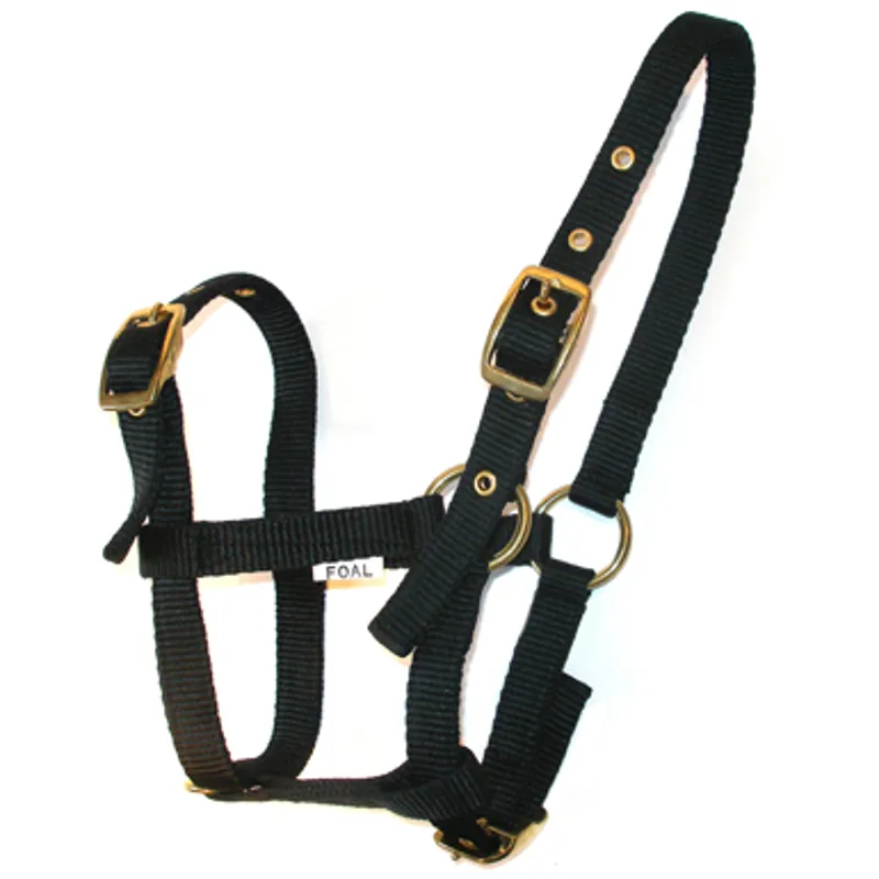 Jumpers Horse Line Foal Headcollar In Black