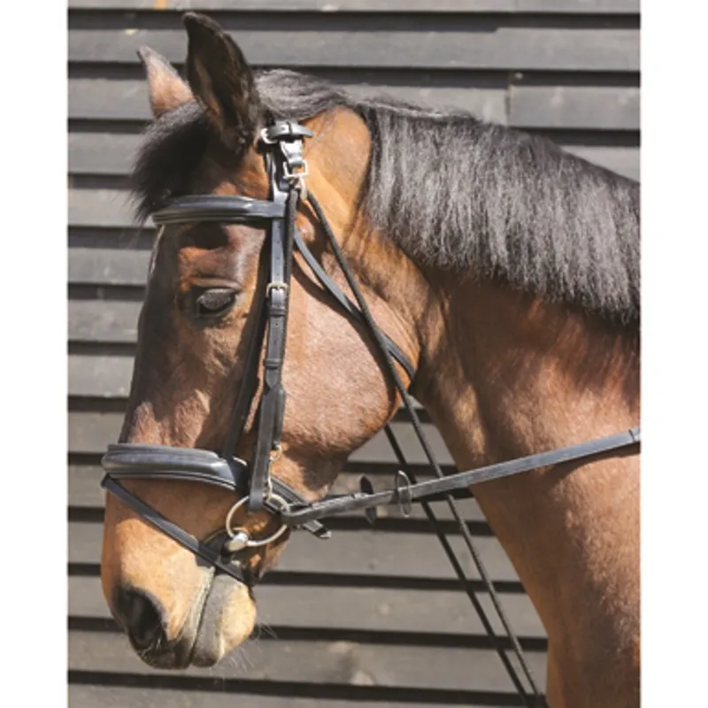 Jumpers Horse Line Cob/Full Chambon Lunging Aid in Black