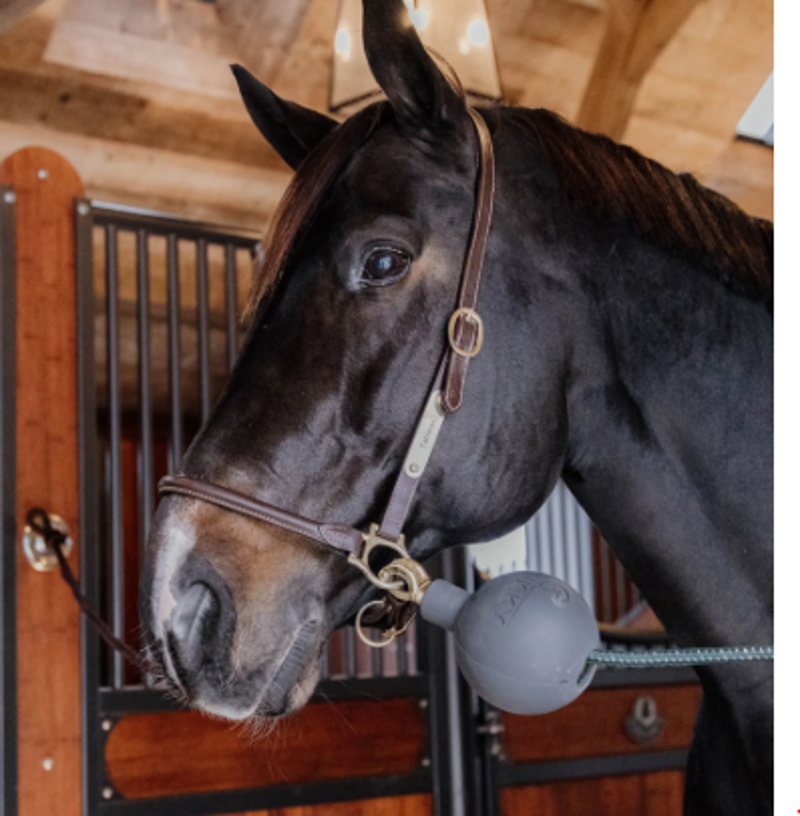 Kentucky Horsewear Rubber Ball Wall and Lead Protector Black-1
