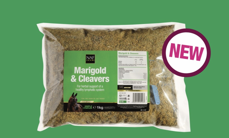 NAF Marigold And Cleavers