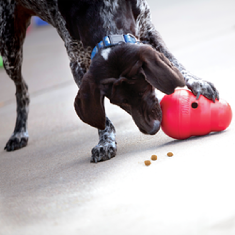 Kong Large Wobbler Toy-4