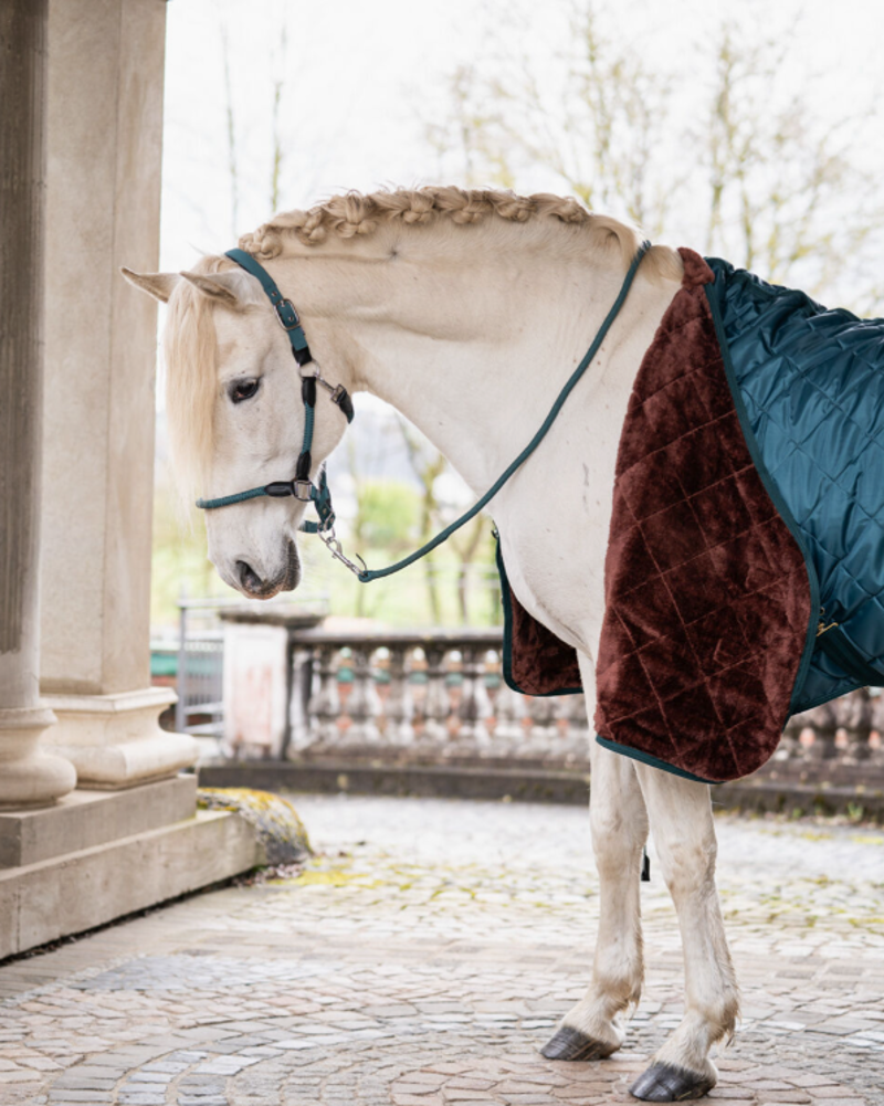 HKM Stable Rug Winter in petrol
