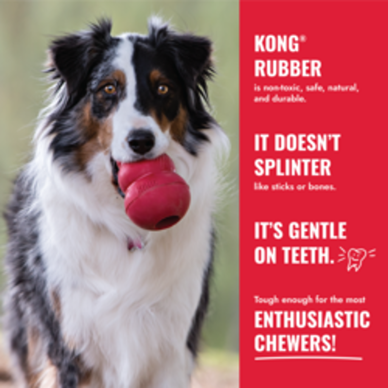 Kong Large Classic Toy-6