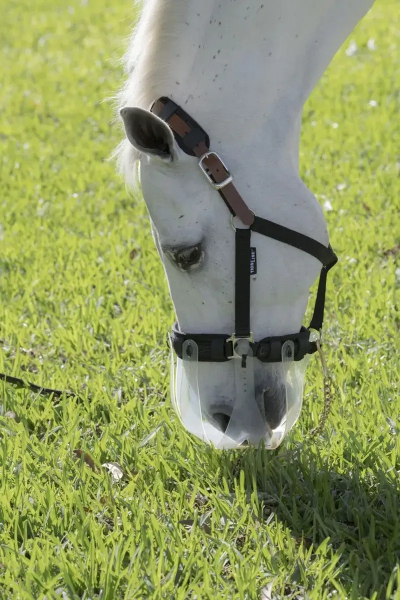 Thinline Flexible Filly Grazing Muzzle  - large 3.5cm-2