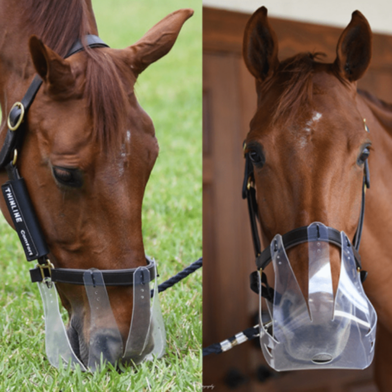 Thinline Flexible Filly Grazing Muzzle  - large 3.5cm-1