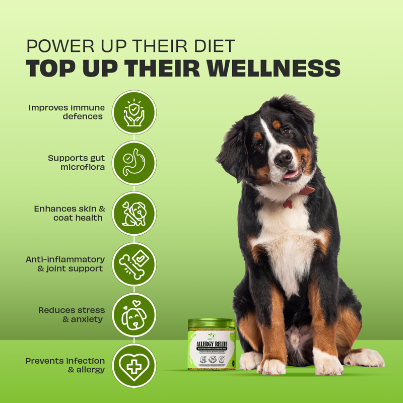 Pawfect Allergy Relief for Dogs 100g-2