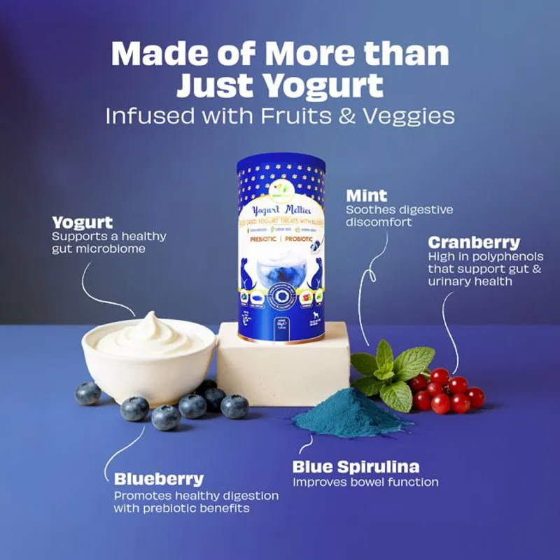 Pawfect Yogurt Melties - BLUEBERRY-2