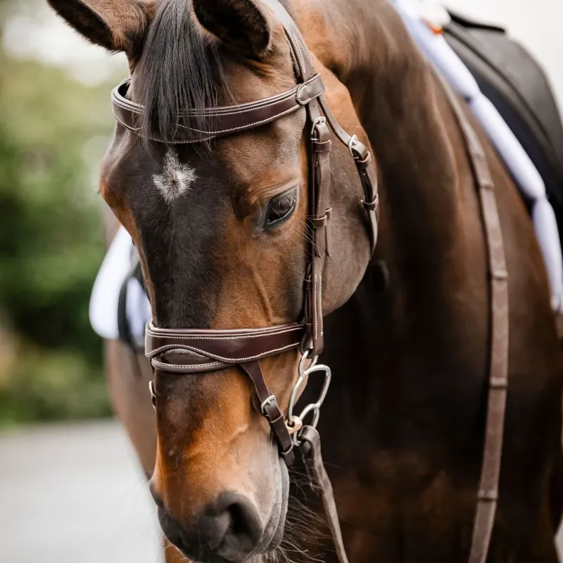 ComfortPro Anatomic Bridle with Reins - Brown-2
