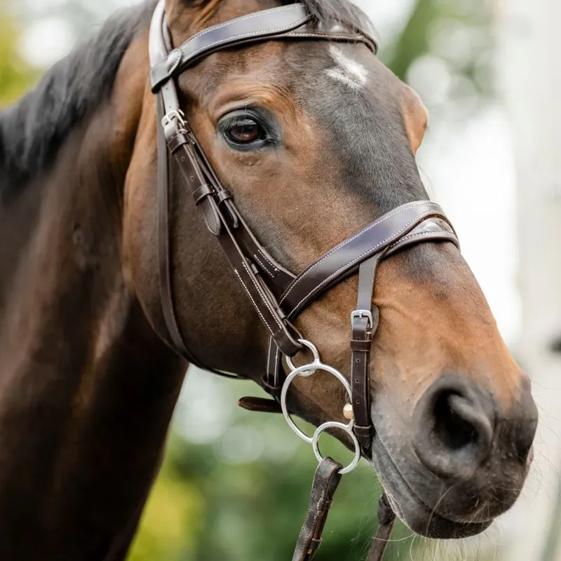 ComfortPro Anatomic Bridle with Reins - Brown-1