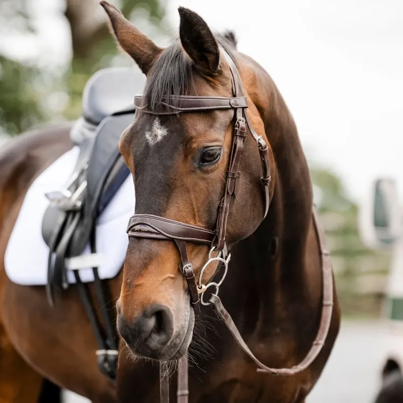 ComfortPro Anatomic Bridle with Reins - Brown