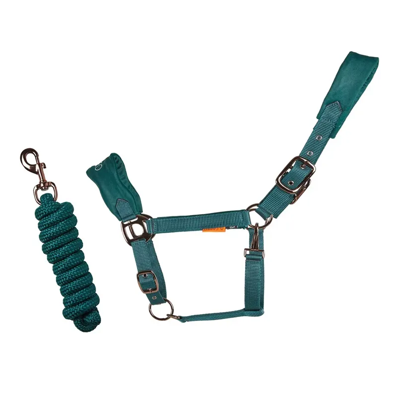 Cameo Suede Elite Headcollar and Leadrope-1