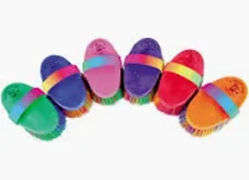 Haas Kids Brush - Assorted Colours 150 x 75mm