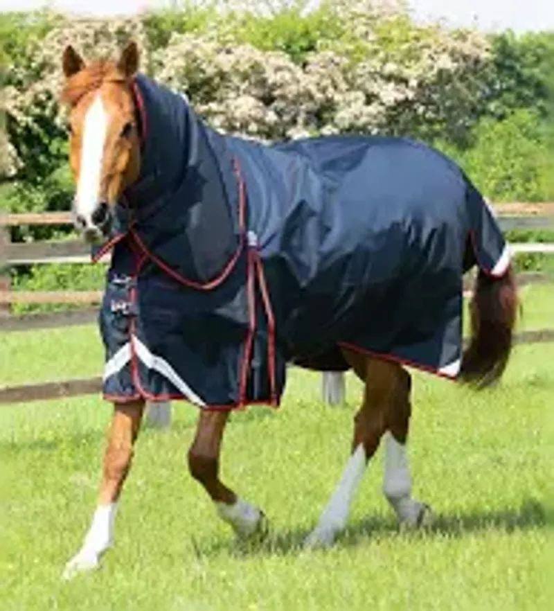 Buster 250g Turnout Rug With Classic Neck Cover / Navy