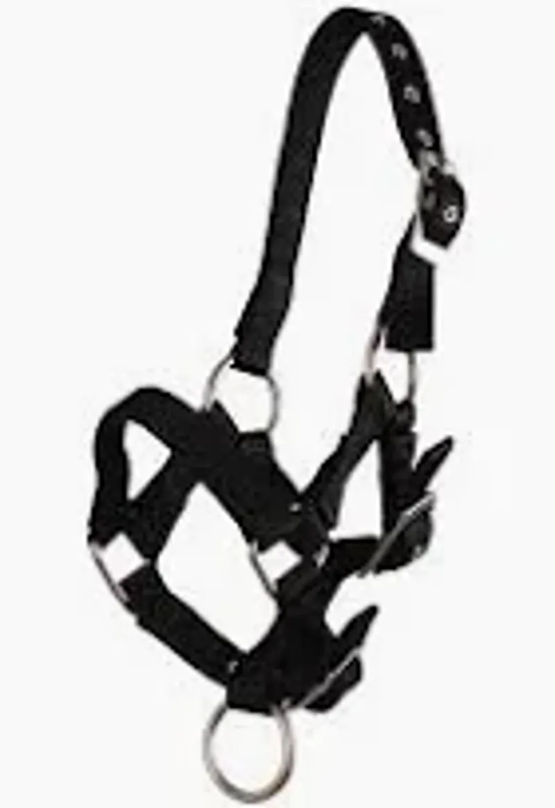 Rhinegold Nylon Foal Headcollar - Black
